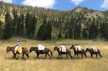 Explore Montana